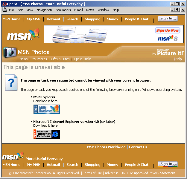 MSN Photos 2002